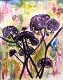 34 - Diane Poole - Sambucus Nigra - Watercolour.JPG